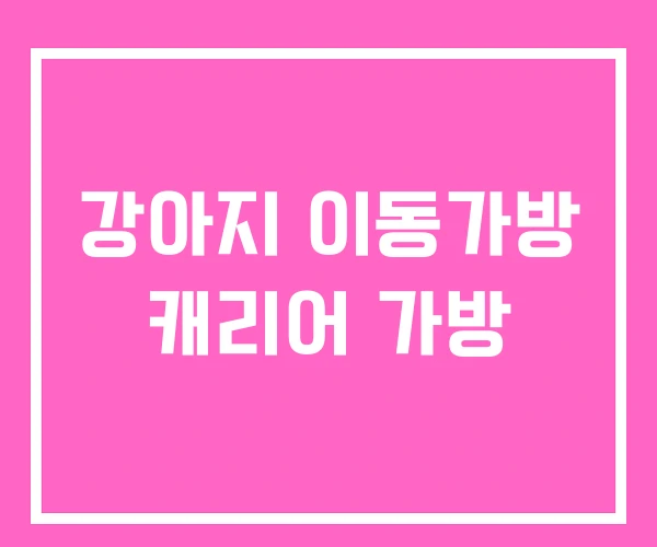 강아지 이동가방 캐리어 가방