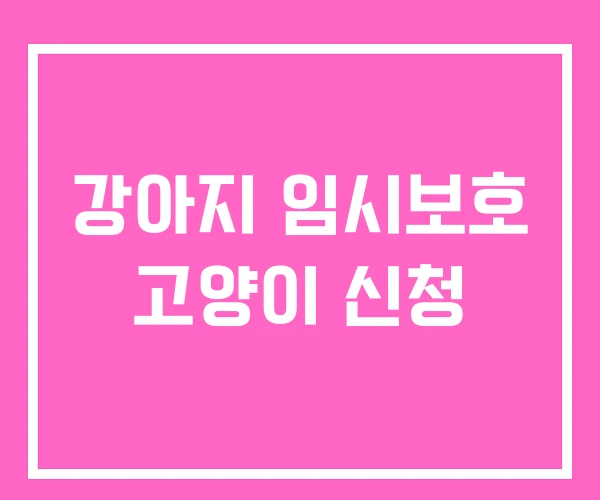 강아지 임시보호 고양이 신청