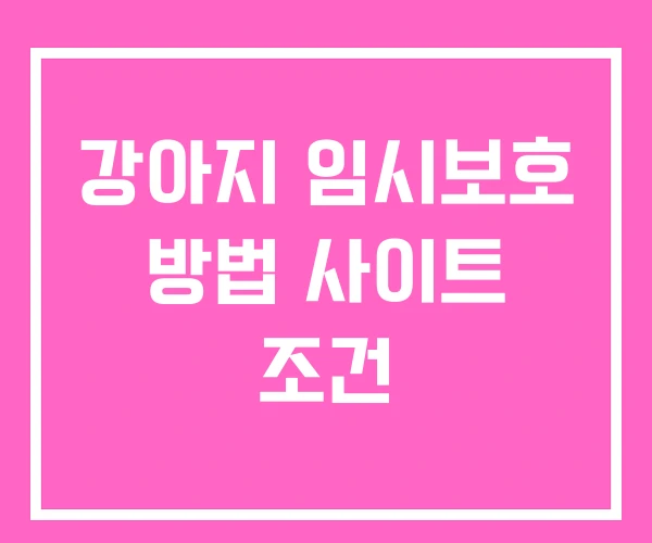 강아지 임시보호 방법 사이트 조건
