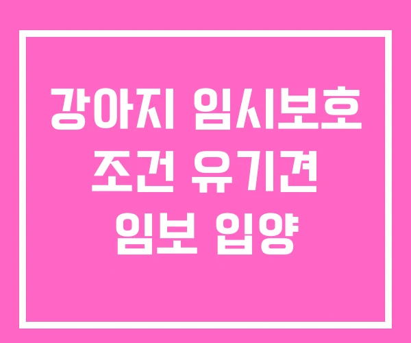 강아지 임시보호 조건 유기견 임보 입양