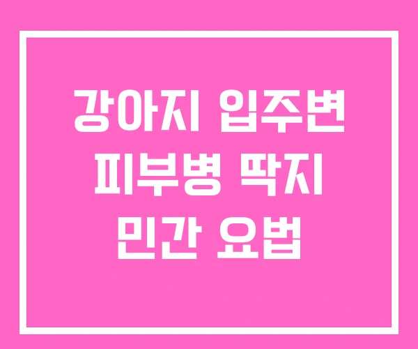 강아지 입주변 피부병 딱지 민간 요법