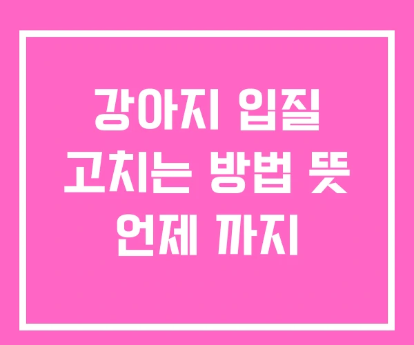 강아지 입질 고치는 방법 뜻 언제 까지