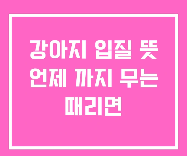 강아지 입질 뜻 언제 까지 무는 때리면