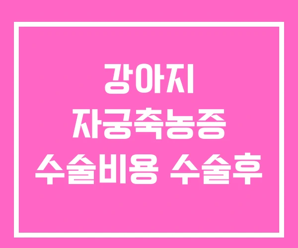강아지 자궁축농증 수술비용 수술후