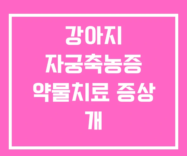 강아지 자궁축농증 약물치료 증상 개