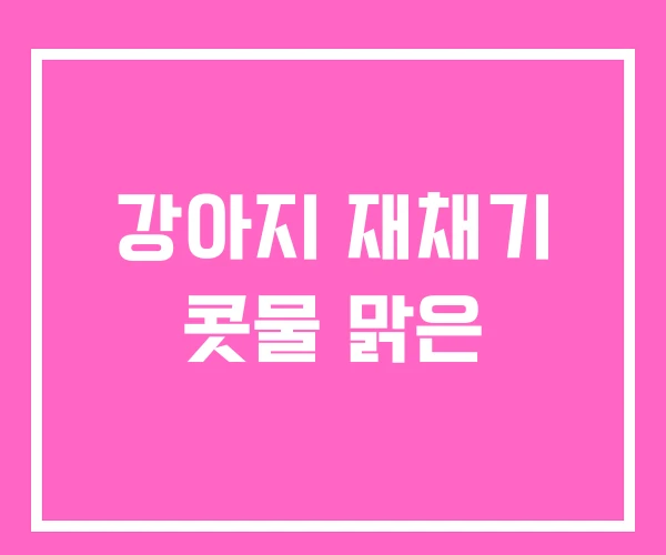 강아지 재채기 콧물 맑은