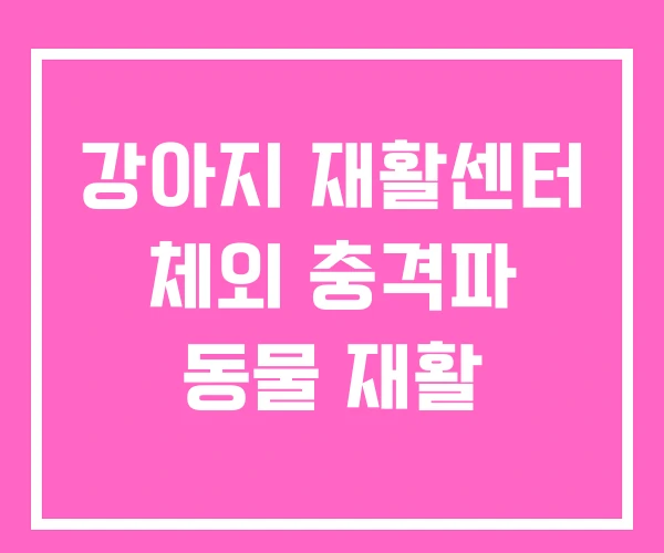 강아지 재활센터 체외 충격파 동물 재활
