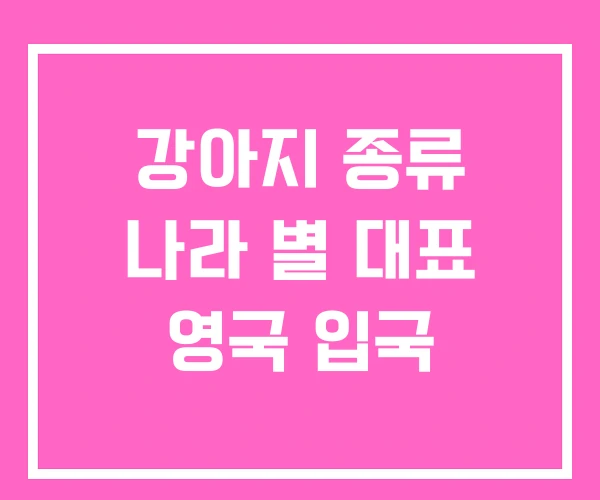 강아지 종류 나라 별 대표 영국 입국