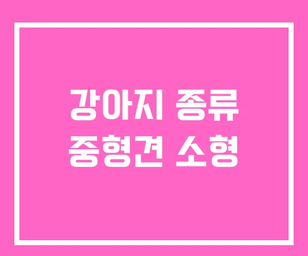 강아지 종류 중형견 소형