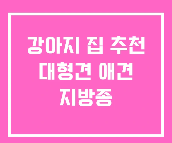 강아지 집 추천 대형견 애견 지방종 강아지 집 추천 대형견 애견 지방종