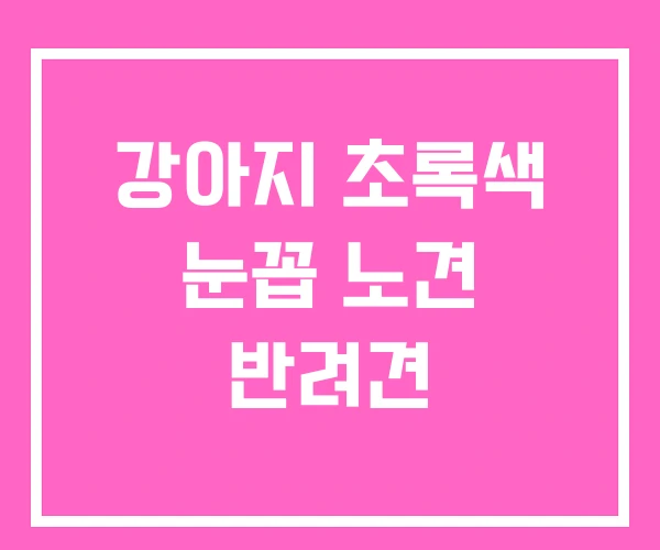 강아지 초록색 눈꼽 노견 반려견