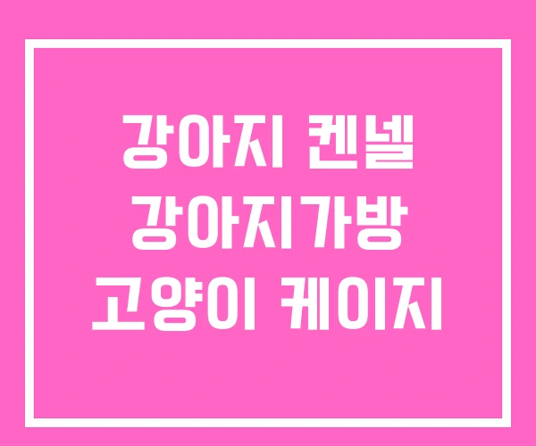 강아지 켄넬 강아지가방 고양이 케이지