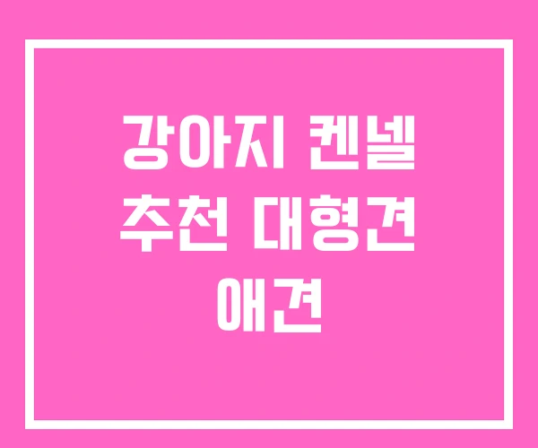강아지 켄넬 추천 대형견 애견 강아지 켄넬 추천 대형견 애견