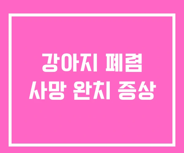 강아지 폐렴 사망 완치 증상 강아지 폐렴 사망 완치 증상