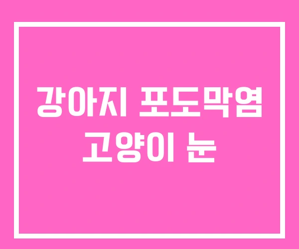 강아지 포도막염 고양이 눈