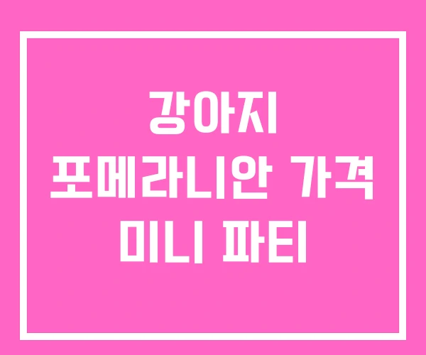 강아지 포메라니안 가격 미니 파티 강아지 포메라니안 가격 미니 파티