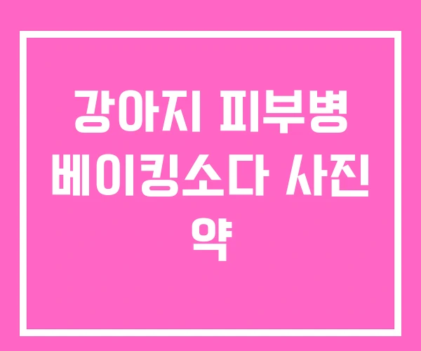 강아지 피부병 베이킹소다 사진 약