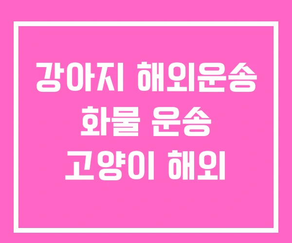 강아지 해외운송 화물 운송 고양이 해외