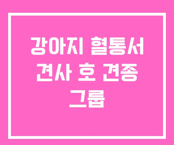 강아지 혈통서 견사 호 견종 그룹 강아지 혈통서 견사 호 견종 그룹