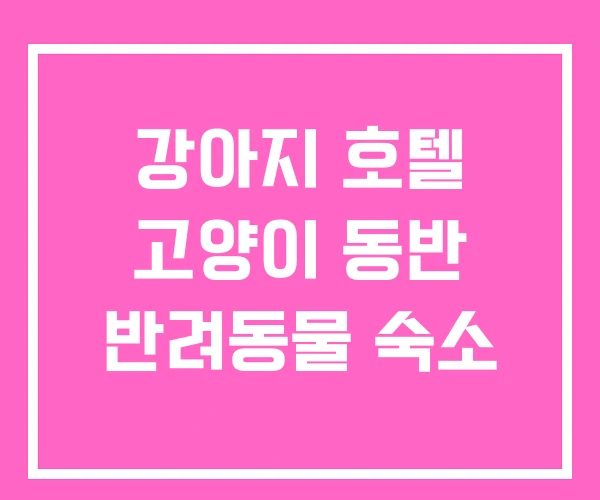 강아지 호텔 고양이 동반 반려동물 숙소