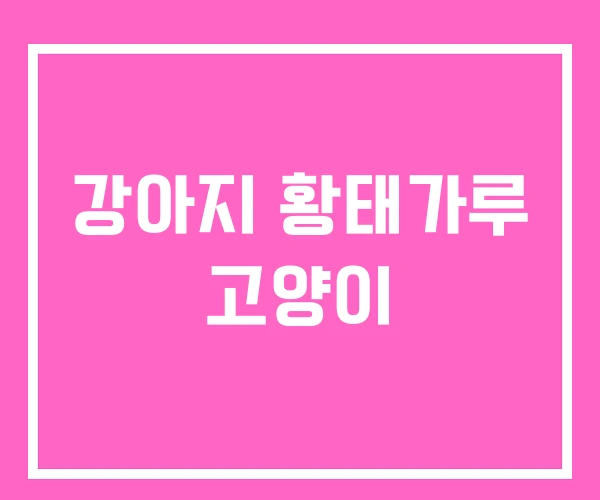 강아지 황태가루 고양이