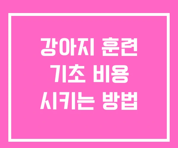 강아지 훈련 기초 비용 시키는 방법