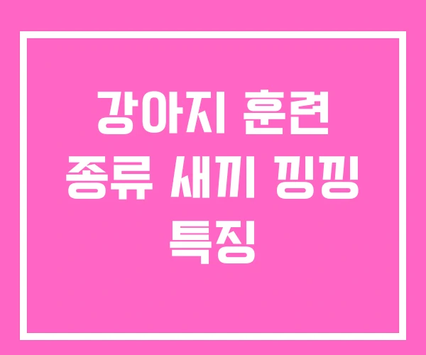 강아지 훈련 종류 새끼 낑낑 특징