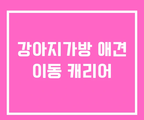 강아지가방 애견 이동 캐리어
