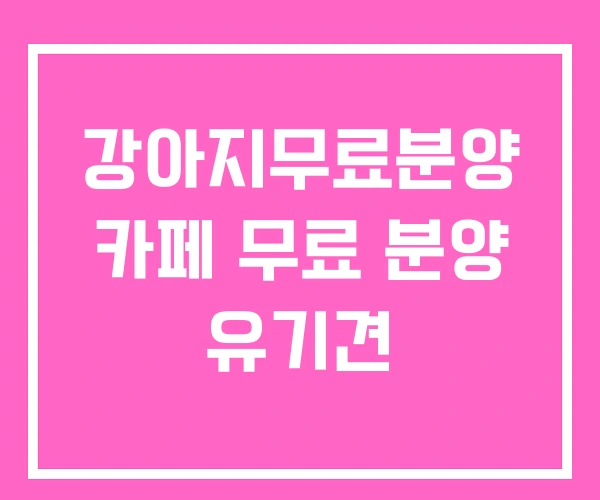 강아지무료분양 카페 무료 분양 유기견 강아지무료분양 카페 무료 분양 유기견