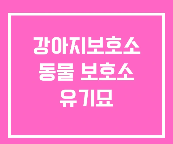 강아지보호소 동물 보호소 유기묘 강아지보호소 동물 보호소 유기묘
