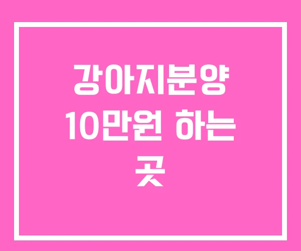 강아지분양 10만원 하는 곳 강아지분양 10만원 하는 곳