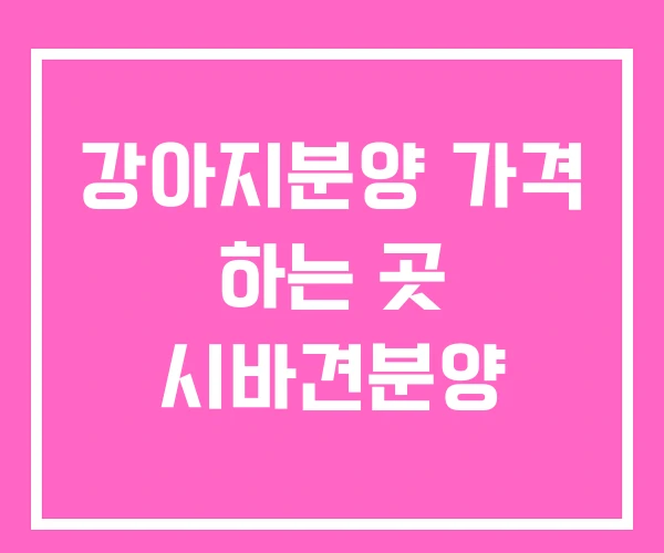 강아지분양 가격 하는 곳 시바견분양 강아지분양 가격 하는 곳 시바견분양