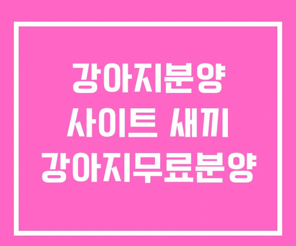 강아지분양 사이트 새끼 강아지무료분양 강아지분양 사이트 새끼 강아지무료분양
