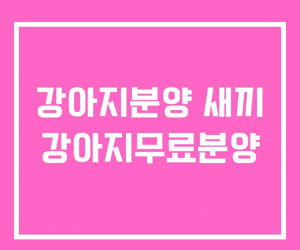 강아지분양 새끼 강아지무료분양 강아지분양 새끼 강아지무료분양