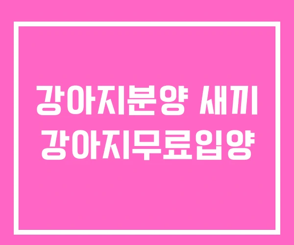 강아지분양 새끼 강아지무료입양 강아지분양 새끼 강아지무료입양