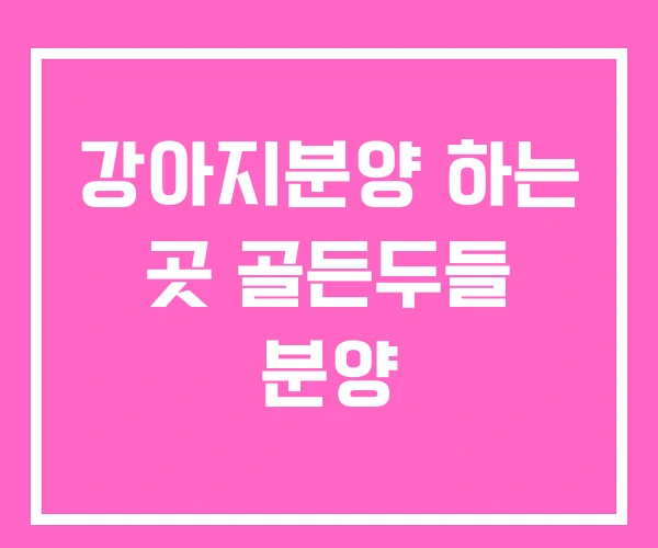 강아지분양 하는 곳 골든두들 분양 강아지분양 하는 곳 골든두들 분양