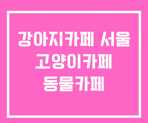 강아지카페 서울 고양이카페 동물카페 강아지카페 서울 고양이카페 동물카페