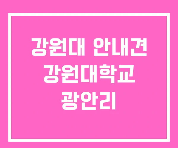 강원대 안내견 강원대학교 광안리