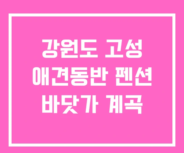강원도 고성 애견동반 펜션 바닷가 계곡