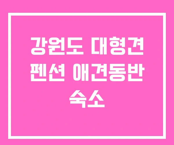 강원도 대형견 펜션 애견동반 숙소 강원도 대형견 펜션 애견동반 숙소