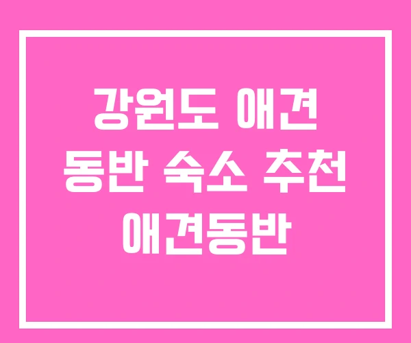 강원도 애견 동반 숙소 추천 애견동반