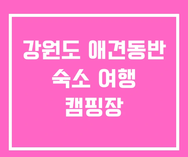 강원도 애견동반 숙소 여행 캠핑장