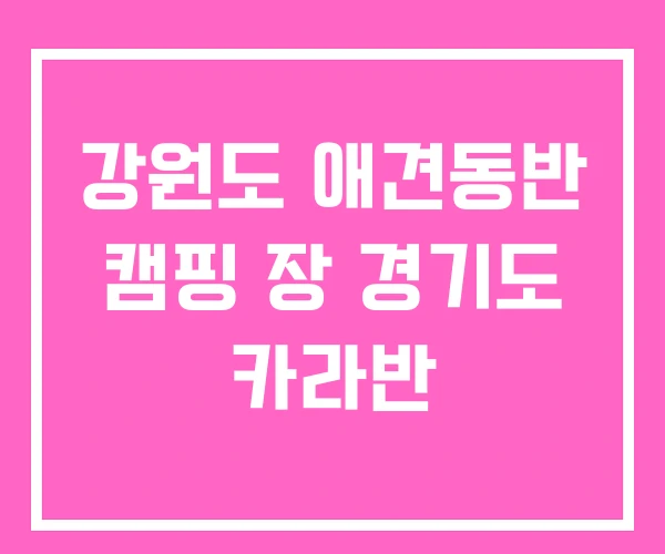 강원도 애견동반 캠핑 장 경기도 카라반