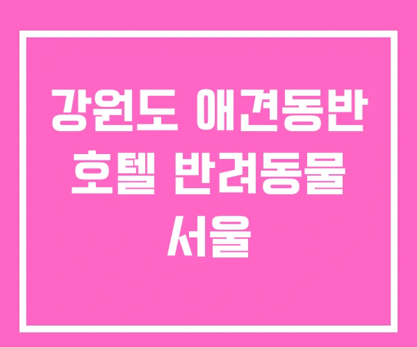 강원도 애견동반 호텔 반려동물 서울