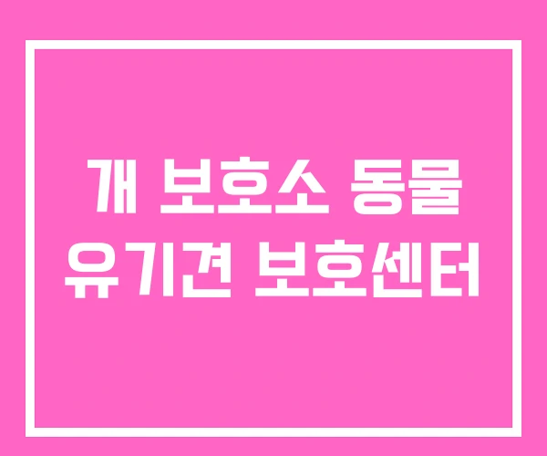 개 보호소 동물 유기견 보호센터 개 보호소 동물 유기견 보호센터