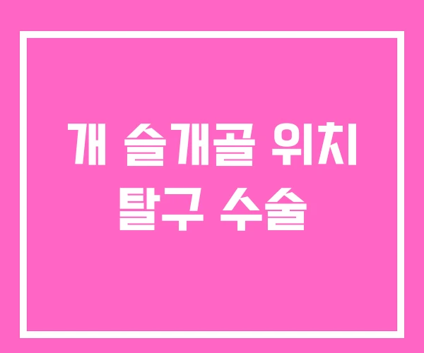 개 슬개골 위치 탈구 수술
