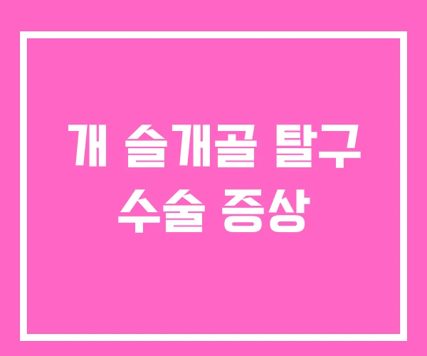 개 슬개골 탈구 수술 증상