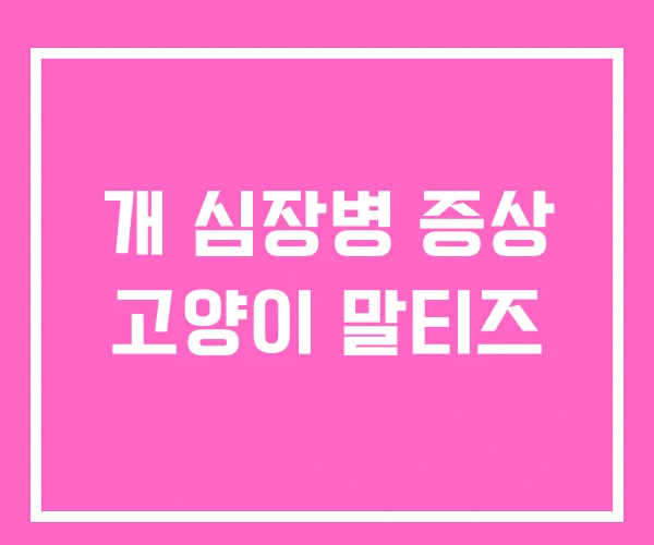 개 심장병 증상 고양이 말티즈 개 심장병 증상 고양이 말티즈