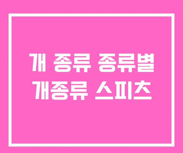 개 종류 종류별 개종류 스피츠 개 종류 종류별 개종류 스피츠
