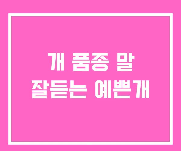 개 품종 말 잘듣는 예쁜개 개 품종 말 잘듣는 예쁜개